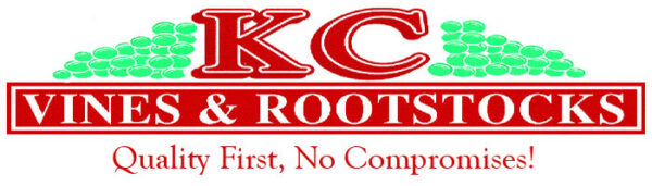 KC Vines & Rootstocks